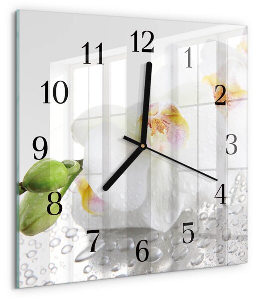 Skleněné hodiny na stěnu Orchidej zskc-30x30-00058181