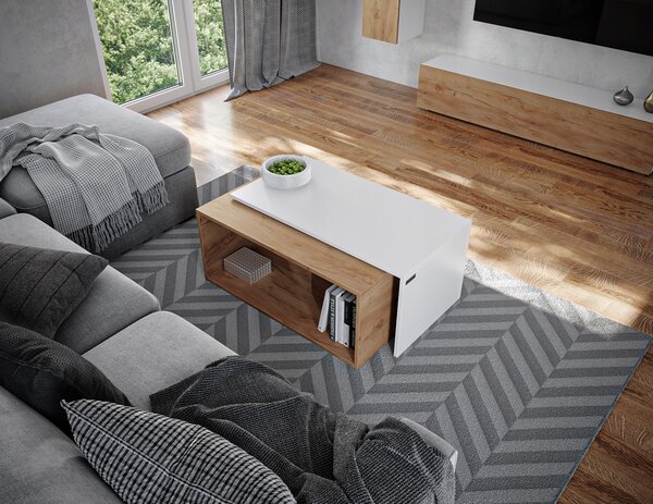 Konferenční stolek PLATAN ROOM obdélníkový 90 x 48 x 40 cm bílý, dub craft zlatý