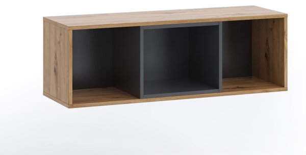 Nástěnná skříňka Tolen Dub artisan