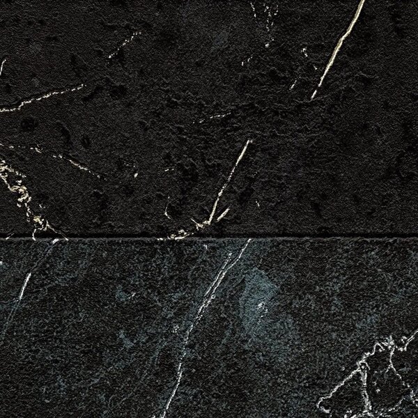 A.S. Création | Vliesová tapeta na zeď Versace 6 79174-7 | 0,53 x 10,05 m | černá, metalická, šedá