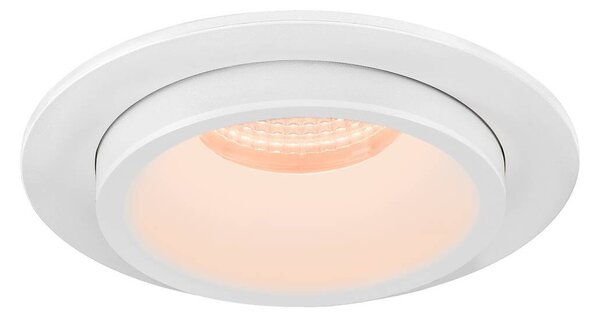 LA 1007045 NUMINOS® PROJECTOR L stropní zápustné svítidlo, 2700 K, 55°, válcové, bílé/bílé - BIG WHITE (SLV)