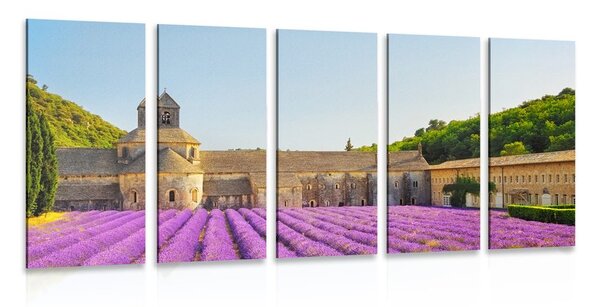 5-dílný obraz Provence s levandulovými poli