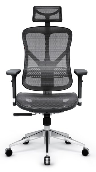 Ergonomická židle Diablo V-Basic: černo-šedá