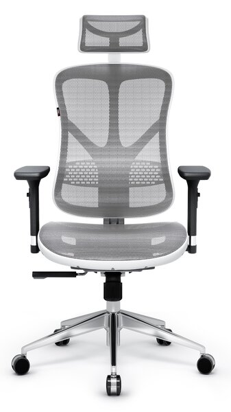 Ergonomická židle DIABLO V-BASIC: bílo-šedá