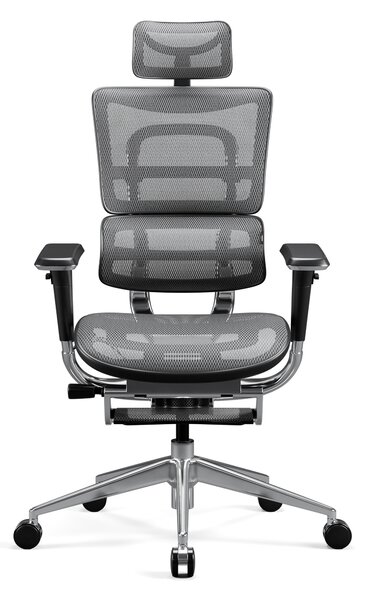 Ergonomická židle DIABLO V-MASTER: černo-šedá