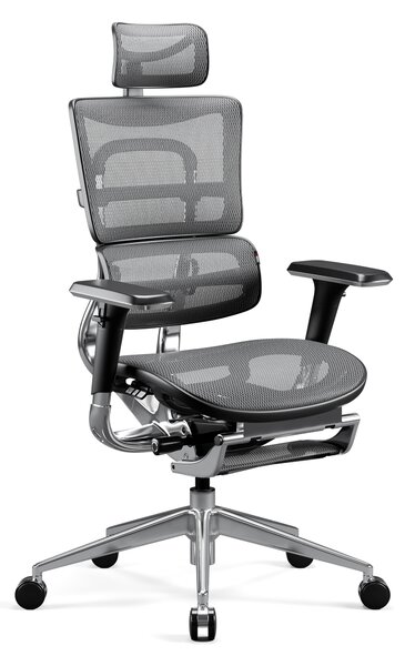 Ergonomická židle DIABLO V-MASTER: černo-šedá