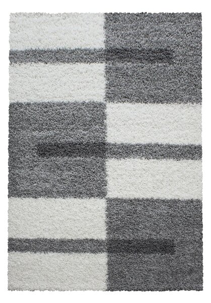 Šedý koberec 120x170 cm Gala – Ayyildiz Carpets