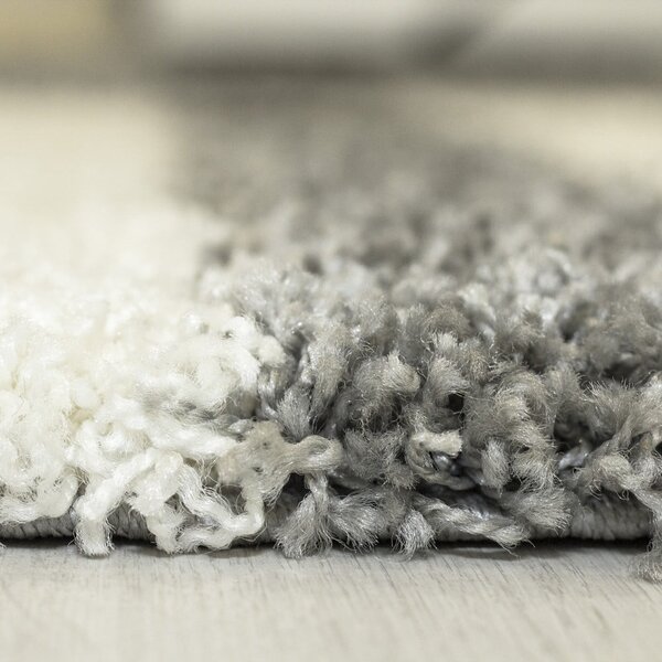 Šedý koberec 120x170 cm Gala – Ayyildiz Carpets