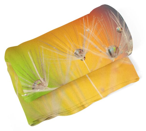 Sablio Deka Odkvetlé pampelišky 2 - 150x120 cm