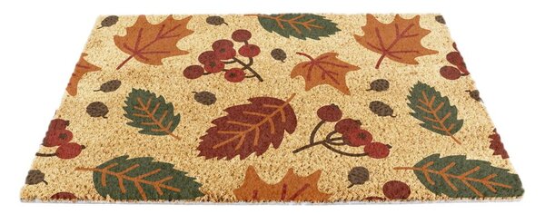 Rohožka z kokosového vlákna 40x60 cm Autumn Leaves – Artsy Doormats