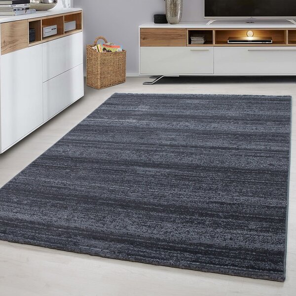 Šedý koberec 80x150 cm Plus – Ayyildiz Carpets