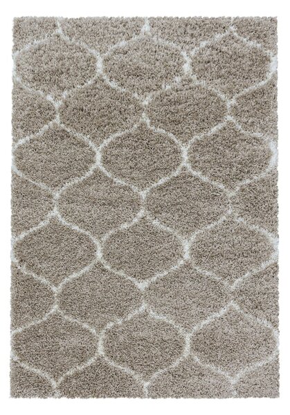 Béžový koberec 120x170 cm Salsa – Ayyildiz Carpets