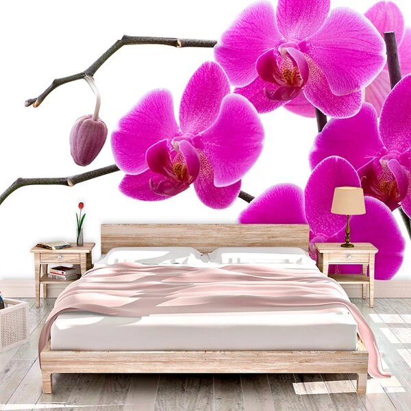 Sablio Tapeta Fialové orchideje - 125x75 cm