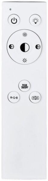 Eglo 900571 -LED RGBW Stmívatelné stropní svítidlo BORDONARA LED/21,5W/230V + DO