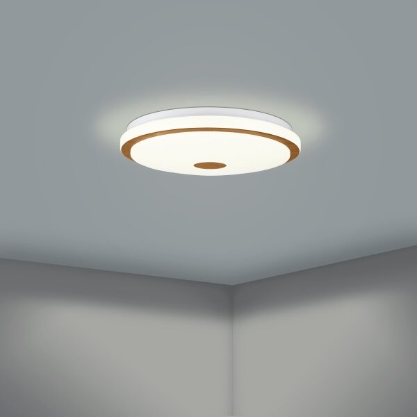 Eglo 900598 - LED Stmívatelné stropní svítidlo LANCIANO LED/24W/230V + DO