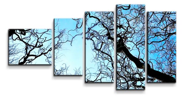 Sablio Obraz - 5-dílný Holé větve - 100x60 cm