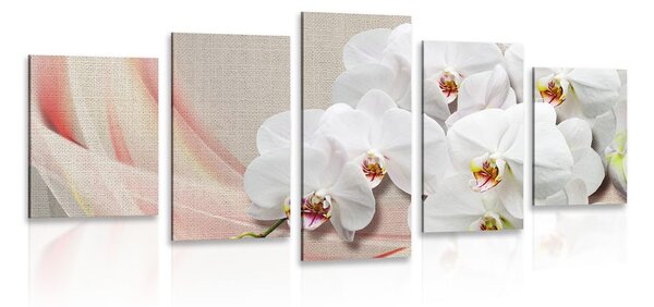 5-dílný obraz bílá orchidej na plátně