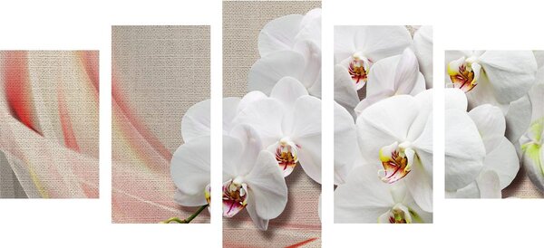 5-dílný obraz bílá orchidej na plátně