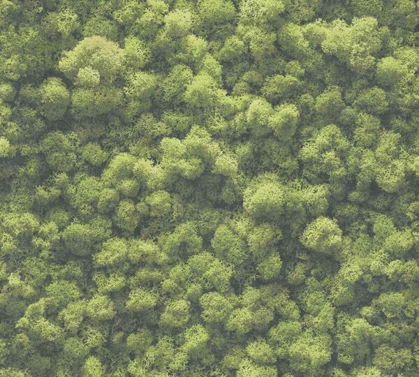 A.S. Création | Vliesová tapeta na zeď PintWalls 39405-1 0,53 x 10,05 m | zelená