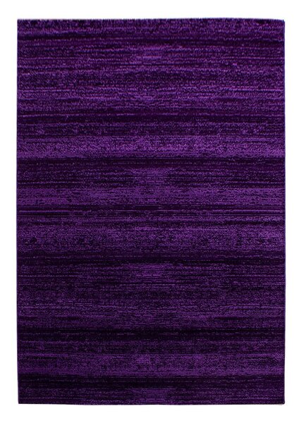 Tmavě fialový koberec 140x200 cm Plus – Ayyildiz Carpets