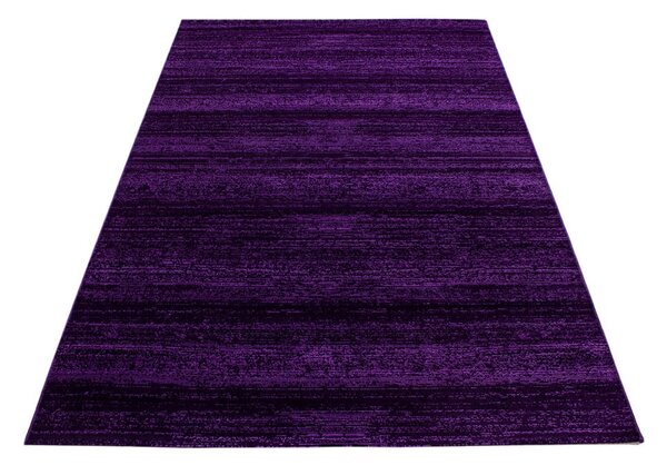 Tmavě fialový koberec 140x200 cm Plus – Ayyildiz Carpets