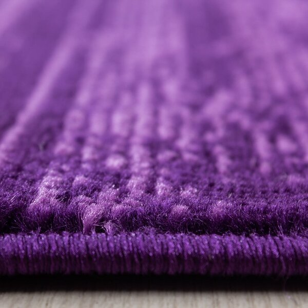 Tmavě fialový běhoun 80x300 cm Plus – Ayyildiz Carpets