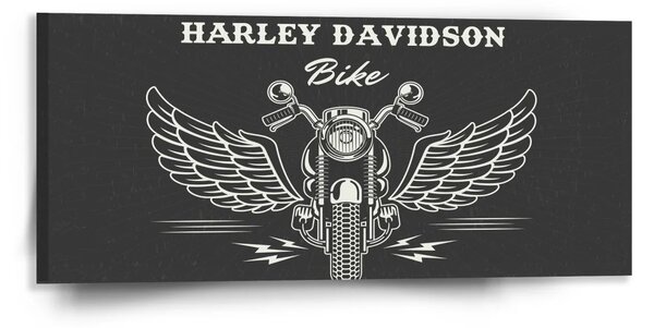 Sablio Obraz Harley-Davidson S křídly - 110x50 cm