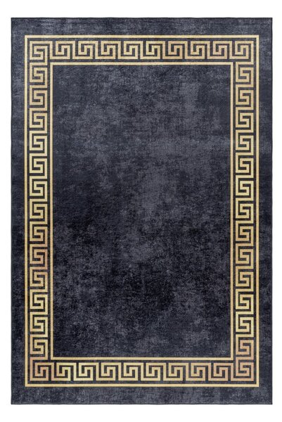 Antracitový pratelný koberec 120x170 cm Fiesta – Ayyildiz Carpets
