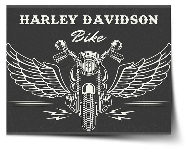 Sablio Plakát Harley-Davidson S křídly - 60x40 cm