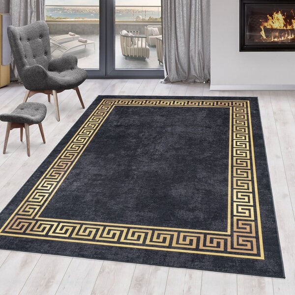 Antracitový pratelný koberec 120x170 cm Fiesta – Ayyildiz Carpets