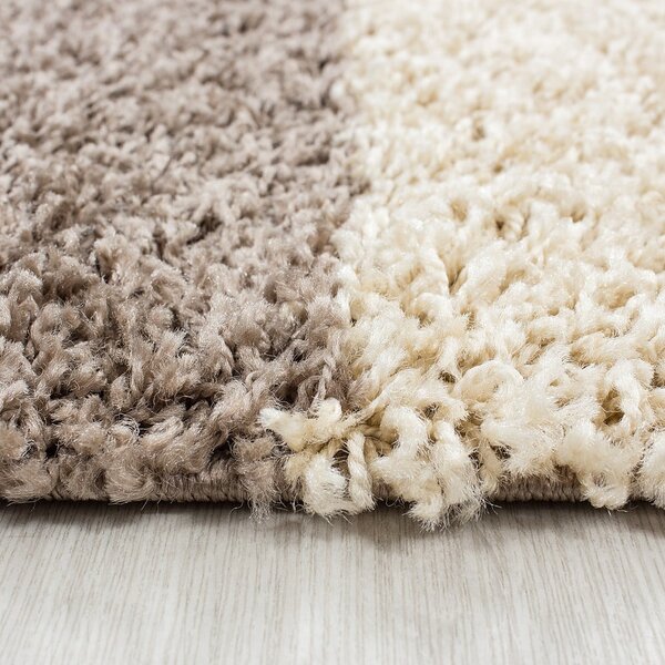 Hnědý koberec 160x230 cm Life – Ayyildiz Carpets