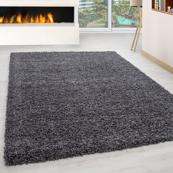 Tmavě šedý koberec 60x110 cm Life – Ayyildiz Carpets