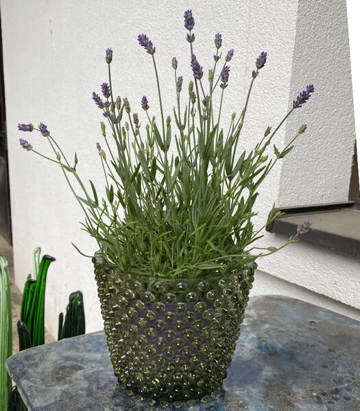 Sklárna Častolovice - Váza, Svícen, Květináč, Mísa 16cm - Hobnail – Ananas – beryl