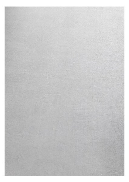 Světle šedý pratelný koberec 80x150 cm Sky – Ayyildiz Carpets