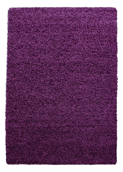 Tmavě fialový koberec 140x200 cm Life – Ayyildiz Carpets