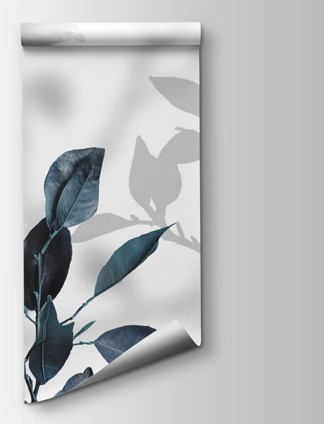 Fototapeta Skupina listů a větví, Přírodní fototapety, Populární fototapety, w03910v2 - Tapeko.co.cz