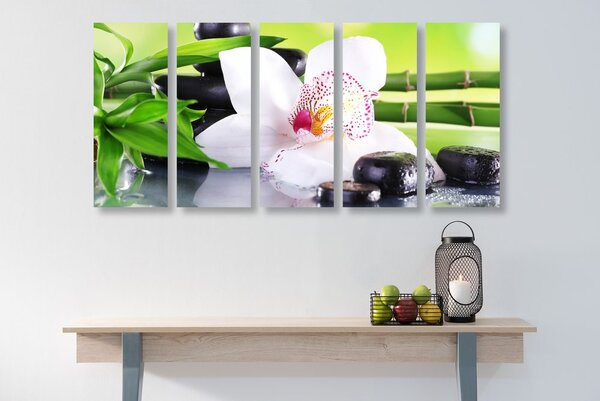 5-dílný obraz japonská orchidej