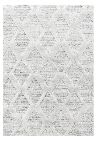 Světle šedý koberec 60x110 cm Pisa – Ayyildiz Carpets