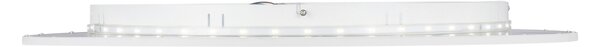 STROPNÍ LED SVÍTIDLO, 80/5,2 cm Novel - Stropní svítidla