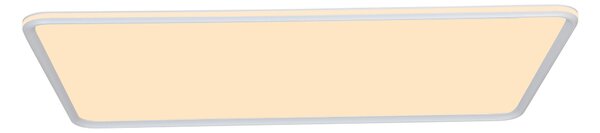 STROPNÍ LED SVÍTIDLO, 110/60/7 cm Novel - Stropní svítidla