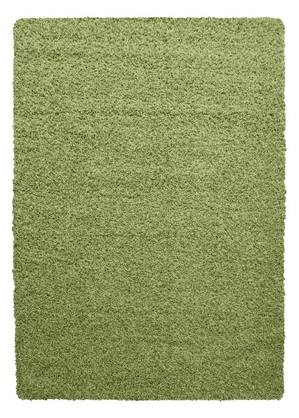 Zelený koberec 80x150 cm Life – Ayyildiz Carpets