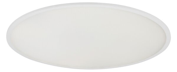 STROPNÍ LED SVÍTIDLO, 80/5,2 cm Novel - Stropní svítidla