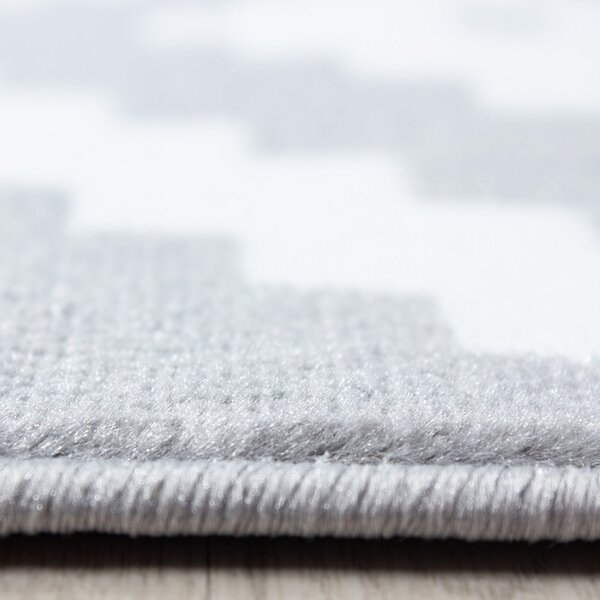 Světle šedý koberec 160x230 cm Plus – Ayyildiz Carpets