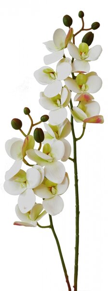Umělá orchidej 58,5 cm, bílá