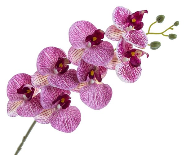 Orchidej Phalaenopsis 77 cm, fialový