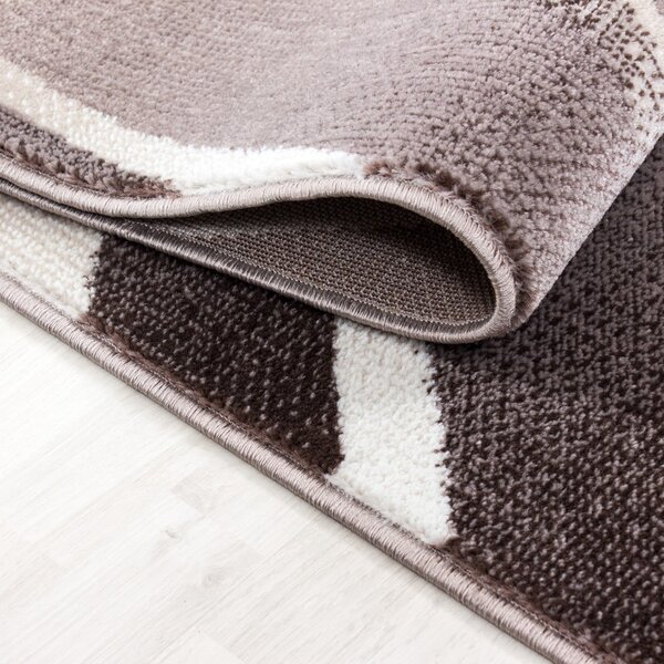 Hnědý koberec 160x230 cm Parma – Ayyildiz Carpets