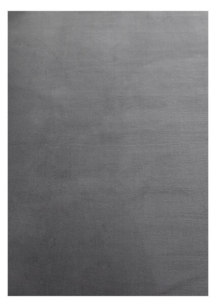 Šedý pratelný koberec 60x110 cm Sky – Ayyildiz Carpets