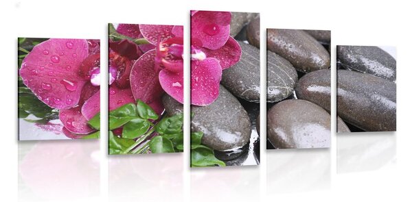 5-dílný obraz kvetoucí orchidej a wellness kameny