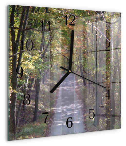Skleněné hodiny na stěnu Lesní cesta zskc-30x30-00170717