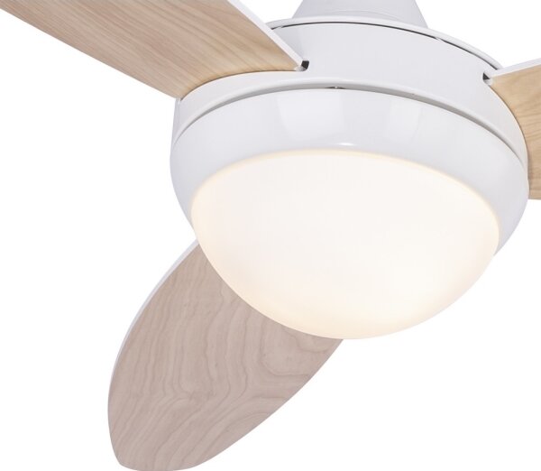 Globo 03612 - Stropní ventilátor CORDULA 2xE14/40W/230V + ovládání